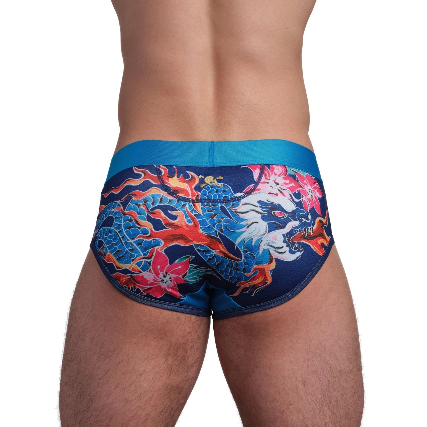 Dragon Brief