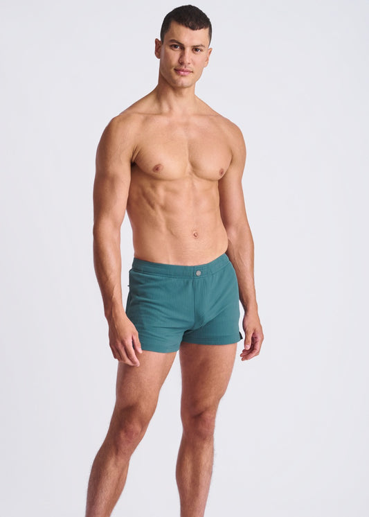 Veridian Seersucker Swim Shorts