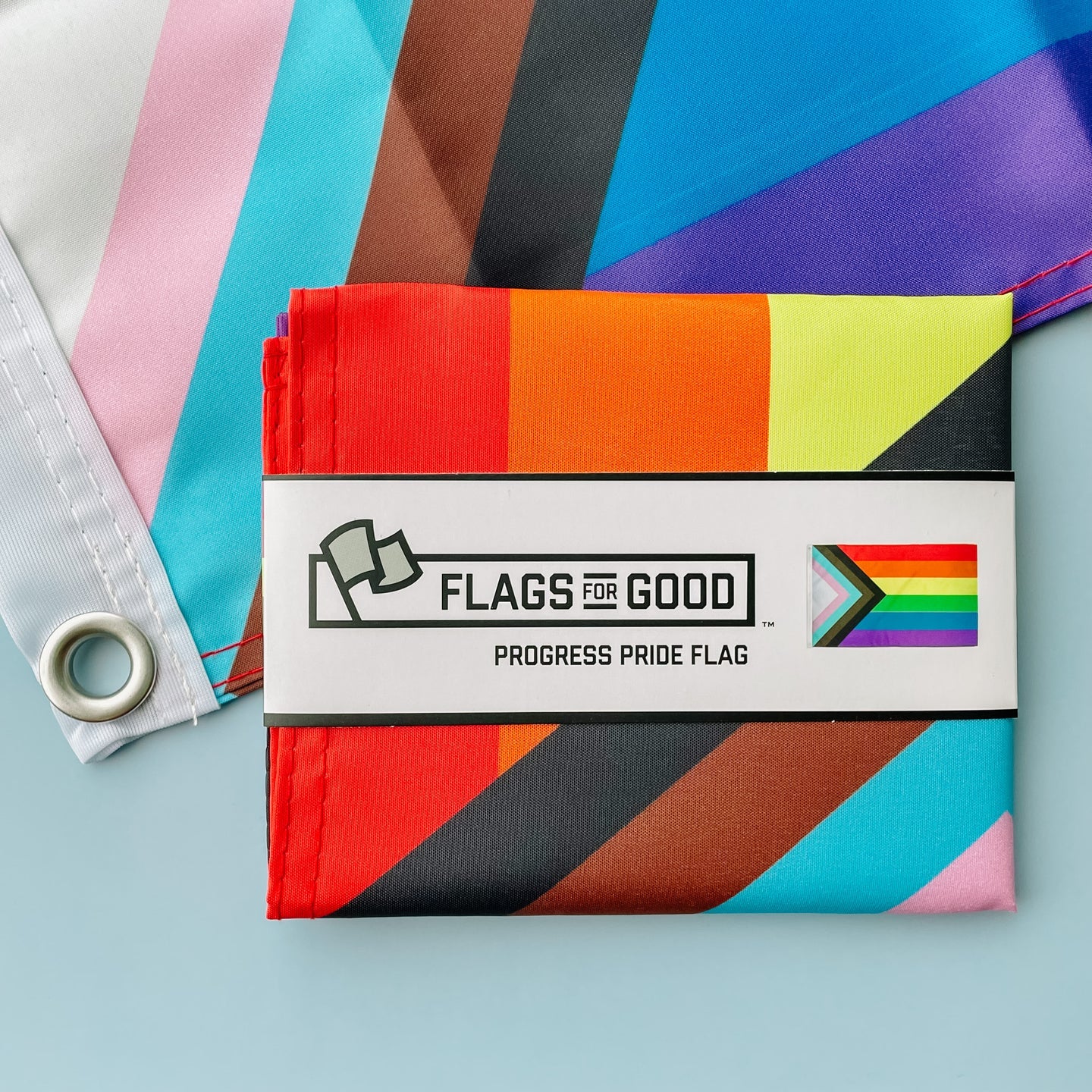 Progress 3x5 Flag