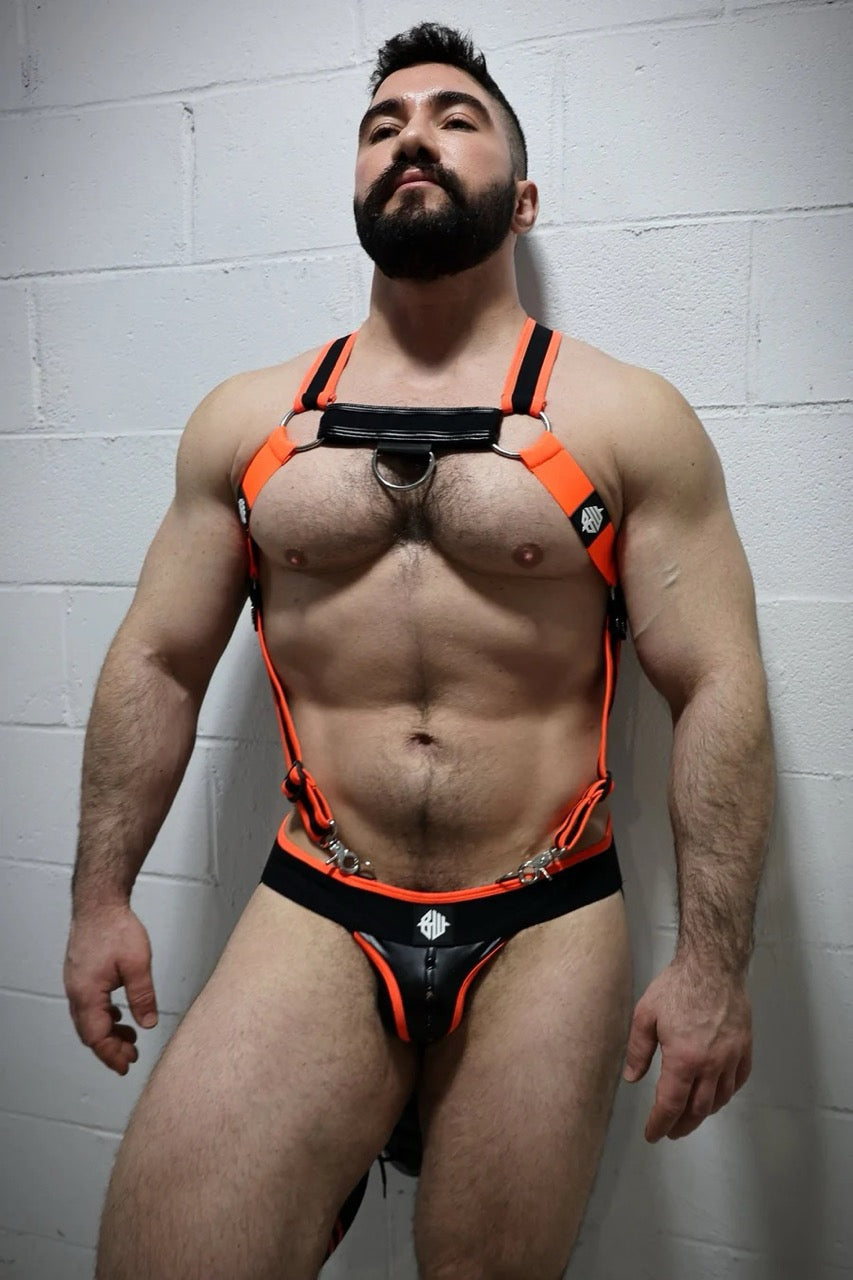 Orange After Dark Harness
